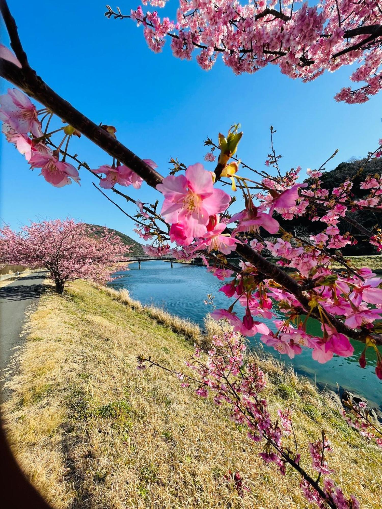 Patagonia Home Shimoda  Εξωτερικό φωτογραφία